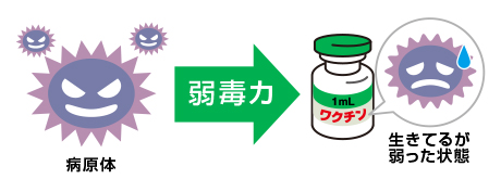 生ワクチン